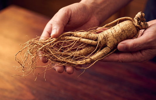 Why 6 Years hand with ginseng