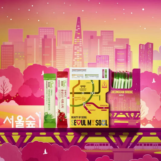 Jeong Kwan Jang Beauty of Seoul Pomegranate and Aloe Sticks, 20 Count